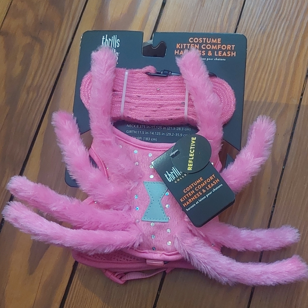 Cat/Kitten Costume